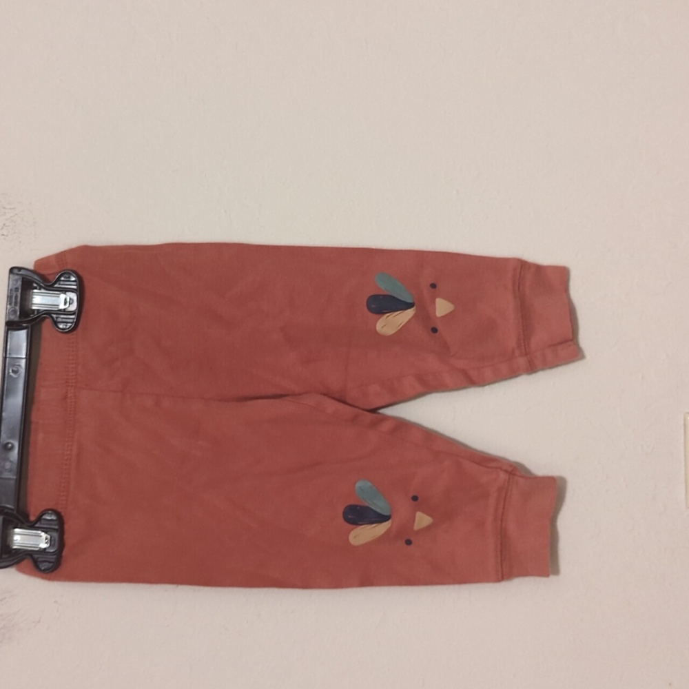 Carter's brown turkey pants size 12 months